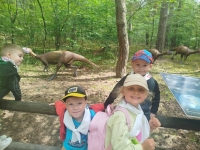 img_20250624_135320-kopiowanie-jpg1754639545